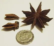star anise: a plant, Illicium verum, used primarily for its starshaped seed which resembles anise in scent and...