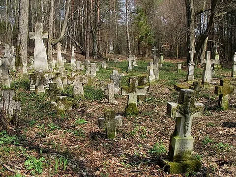 stare brusno: a former village, now in Gmina Horyniec-Zdrój, Lubaczów County, Subcarpathian Voivodeship, Poland,...