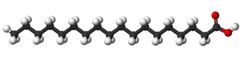 stearic acid: octadecanoic acid; the most common saturated fatty acid; it is found in all animal and most...