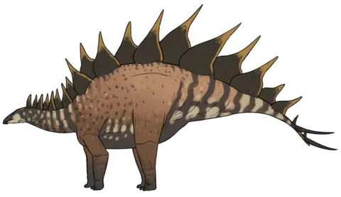 stegosaurus: any of the clade †Stegosauria of quadruped ornithischian dinosaurs with dorsal plates and spikes,...