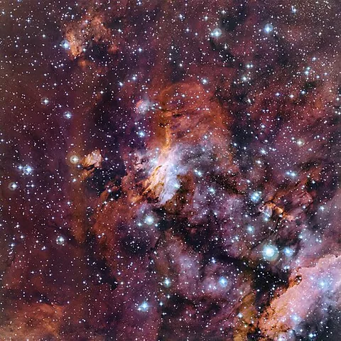stellar nursery: an area of outer space within a dense nebula in which gas and dust are contracting, resulting in...