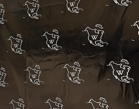 step and repeat: a kind of design, typically for banners or backdrops, consisting of logos or images at fixed offsets