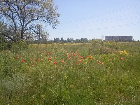 stepnohirsk: a rural settlement, the administrative centre of Stepnohirsk settlement hromada, Vasylivka Raion,...