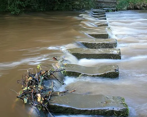 stepping stone: a stone that can be stepped on in crossing something, especially a marsh or creek