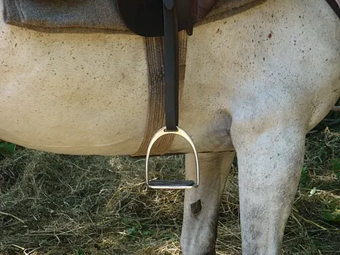 stirrup: a ring or hoop suspended by a rope or strap from the saddle, for a horseman's foot while mounting...