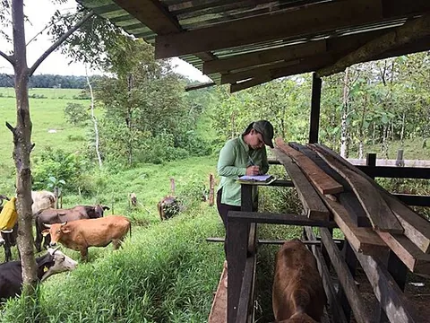 stockkeeper: a keeper of stock (livestock) such as cattle or sheep