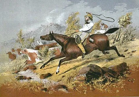 stockman: a man who raises or looks after livestock