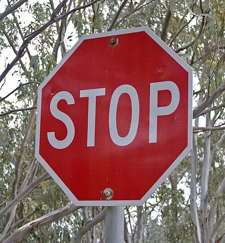 stop sign: a sign by the side of a road or street, often at an intersection, instructing vehicle drivers to...