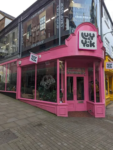storefront: the side of a store (or other shop) which faces the street and usually contains display windows
