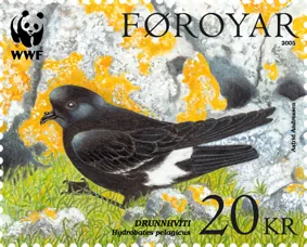 storm petrel: any of several small seabirds, of the families Hydrobatidae (northern storm petrels) or Oceanitidae...