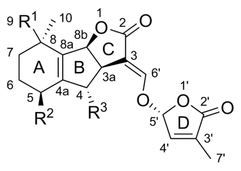 strigolactone: any of a family of terpenoid lactones that stimulate germination in parasitic plants of the genus...