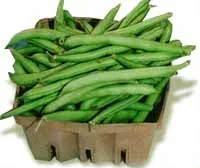 string bean: any long, slender green bean