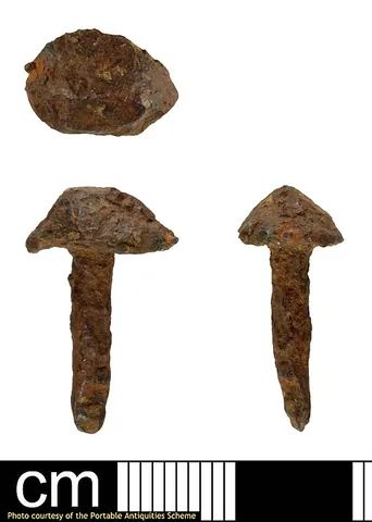 stub nail: an old horsenail, or any metal nail broken off