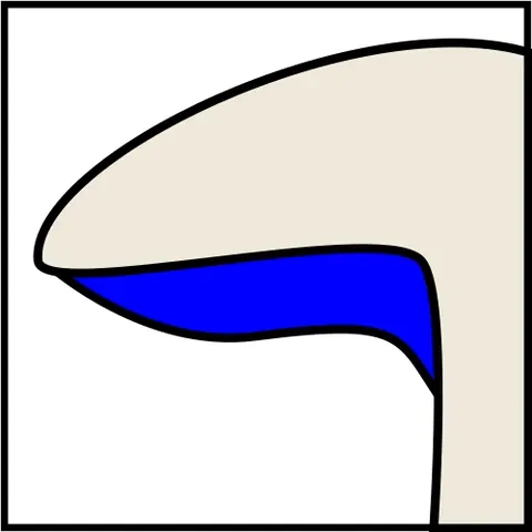 subdecurrent: attached to and running downward along a stem or stipe, but curving inward just before the...