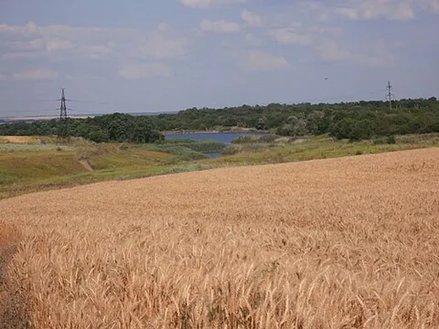 sukhetske: a village in Myrnohrad urban hromada, Pokrovsk Raion, Donetsk Oblast, Ukraine, founded in 1889