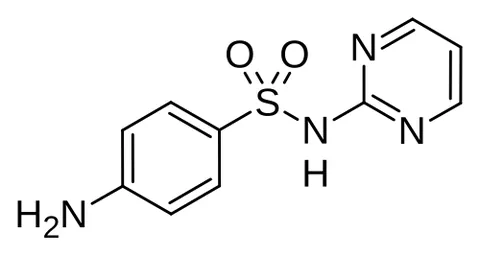 sulfadiazine: a sulfonamide antibiotic that works by halting the production of folic acid inside the bacterial...