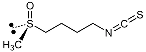 sulforaphane: an antimicrobial compound, 1-isothiocyanato-4-methylsulfinylbutane, found in many brassicas