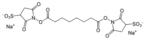 sulfosuccinimidyl: a univalent radical derived from sulfosuccinimide