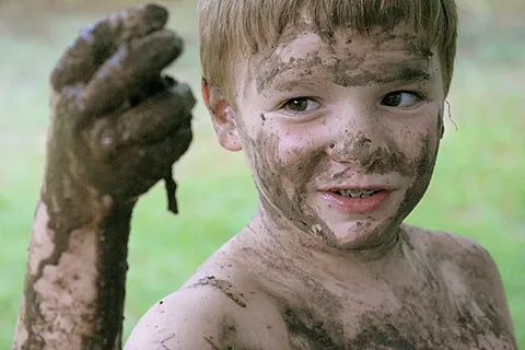 sully: to soil or stain; to dirty
