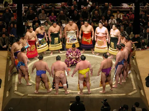 sumo: a stylised Japanese form of wrestling in which a wrestler loses if he is forced from the ring, or...