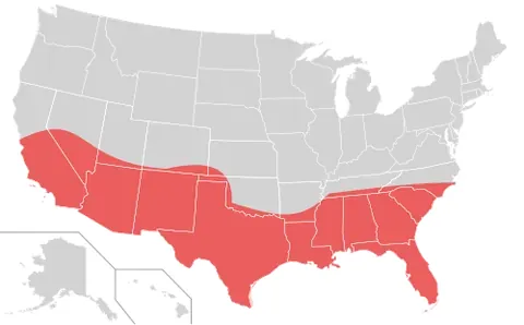 sunbelt: an area or belt of land that receives a lot of sun; specifically, a zone comprising the southern...