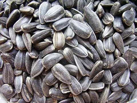 sunflower seed: a seed of a sunflower, especially roasted and eaten as a snack; also used as bird food and in the...