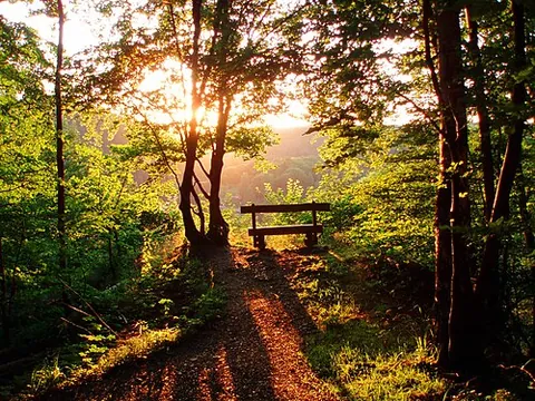 sunlight: all the electromagnetic radiation given off by the Sun; especially, that in the visible spectrum...