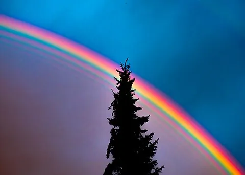 supernumerary rainbow: one of the faintly colored bands sometimes seen bordering the violet edge of a rainbow, i.e. inside...