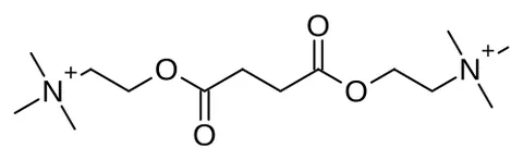 suxamethonium: synonym of suxamethonium chloride