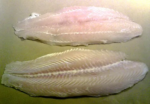 swai: synonym of iridescent shark (“a shark catfish of species Pangasianodon hypophthalmus”)