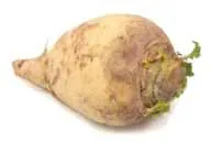 swede: the fleshy yellow root of a variety of rapeseed, Brassica napus var. napobrassica, resembling a...