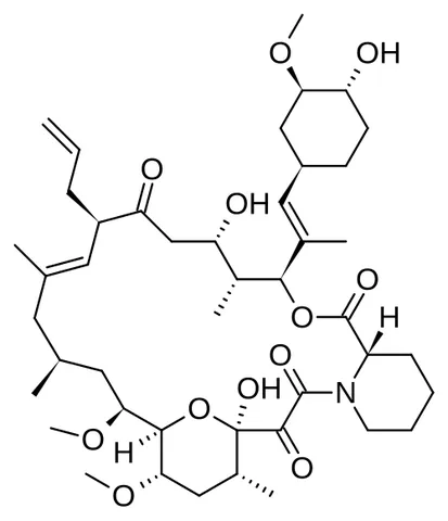 tacrolimus: an immunosuppressive drug obtained from Streptomyces tsukubaensis used mainly after organ...