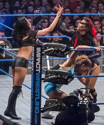 tag team: a group of wrestlers who work together as a team. Only one is in the ring at any given time, and...