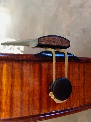 tailgut: a cord which loops through the tailpiece and around the endpin of stringed musical instruments, and...
