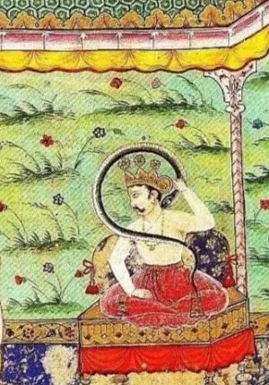 takshaka: a king of the nagas, who bit King Parikshit causing his death in the Mahabharata