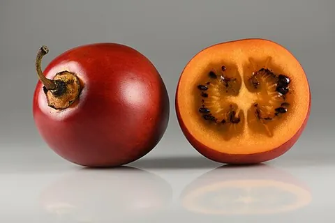 tamarillo: a small tree or shrub (Solanum betaceum, syn. Cyphomandra betacea) which bears edible fruits, of...