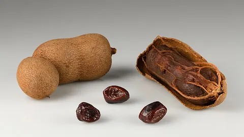 tamarind: a tropical tree, Tamarindus indica