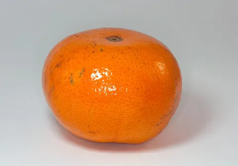 tangerine: a slightly ovoid, orange-coloured citrus fruit with a rough peel and a sour-sweet taste which is...