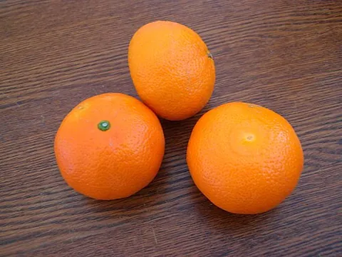 tangor: a citrus fruit that is a hybrid of the tangerine (Citrus reticulata) and the sweet orange (Citrus...