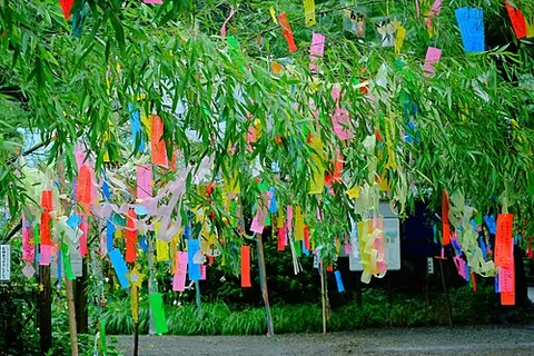 tanzaku: a slip of paper that can be written on, especially those hung on bamboo or other trees during the...