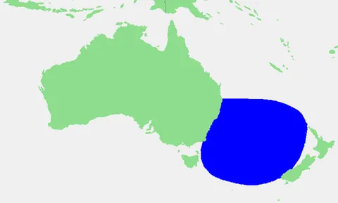 tasman sea: a marginal sea of the Pacific Ocean. It is located between Australia and New Zealand