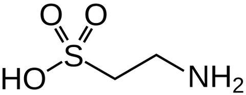 taurine: pertaining to a bull; bull-like