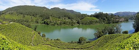 tea garden: a public garden where tea and other refreshments are served