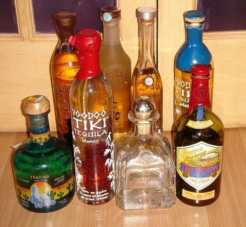 tequila: an alcoholic liquor distilled from the fermented juice of the Central American century plant Agave...