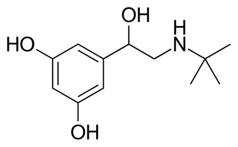 terbutaline: a synthetic compound with bronchodilator properties, used especially in the treatment of asthma