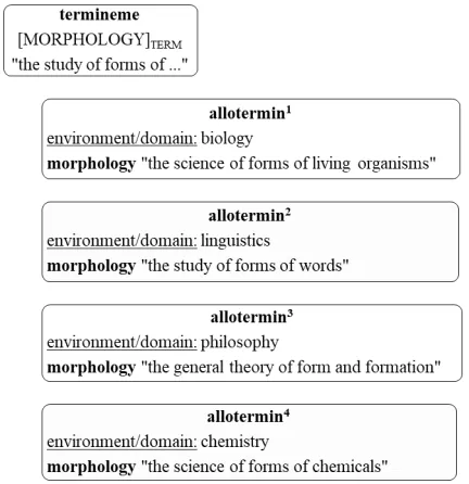 termineme: the smallest unbreakable element of the study of terminology