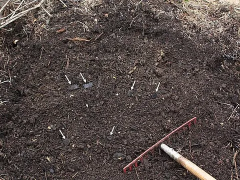 terra preta: a very dark, man-made, nutritionally dense soil found in the Amazon basin