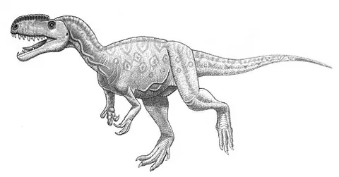 tetanuran: any theropod of the clade Tetanurae, all theropods, including birds, that are more closely related...