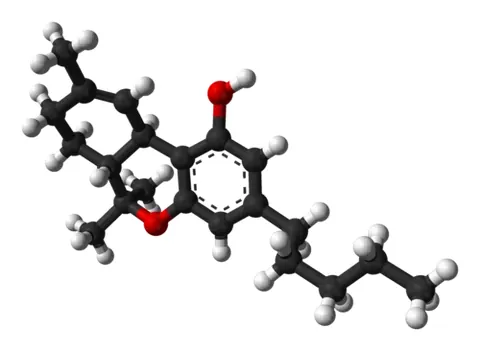 tetrahydrocannabinol: the psychoactive substance present in cannabis, a hydrogenated derivative of cannabinol
