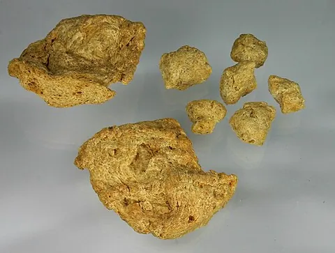 textured vegetable protein: a meat analog derived from soy, a by-product of extracting soybean oil, in the form of small chunks...
